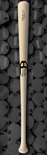 Prodigy 110